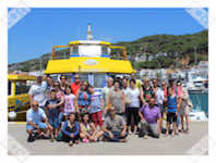 medes 2014